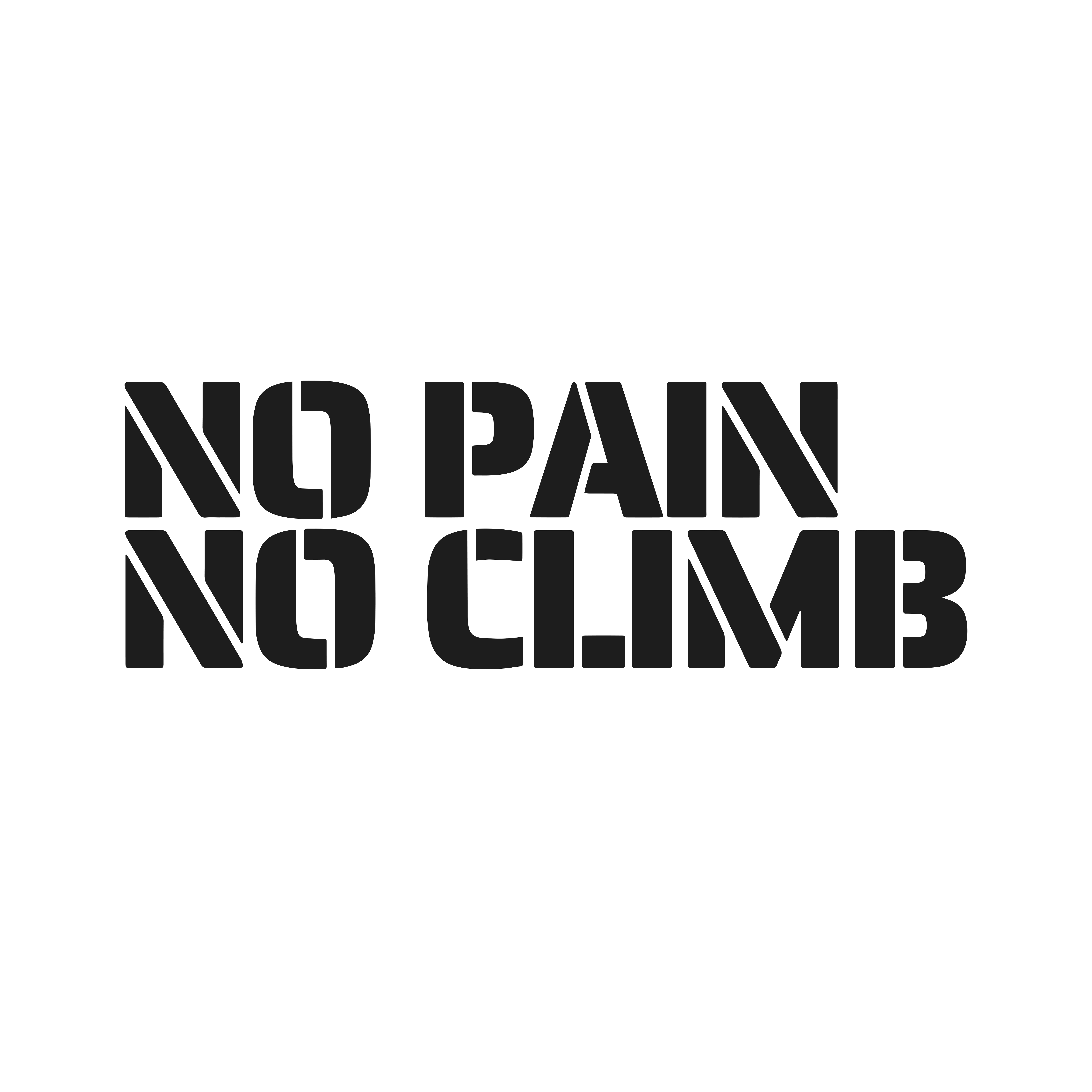 NO PAIN NO CLIMB