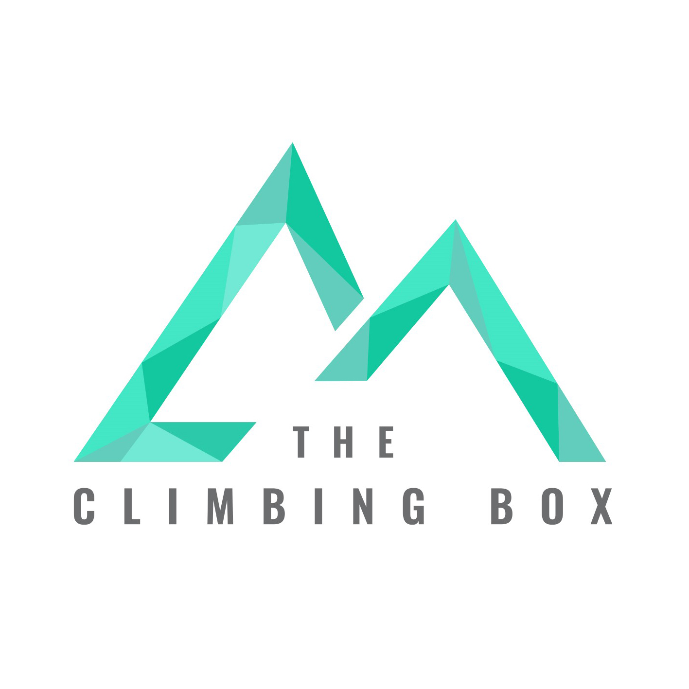 THE CLIMBING BOX
