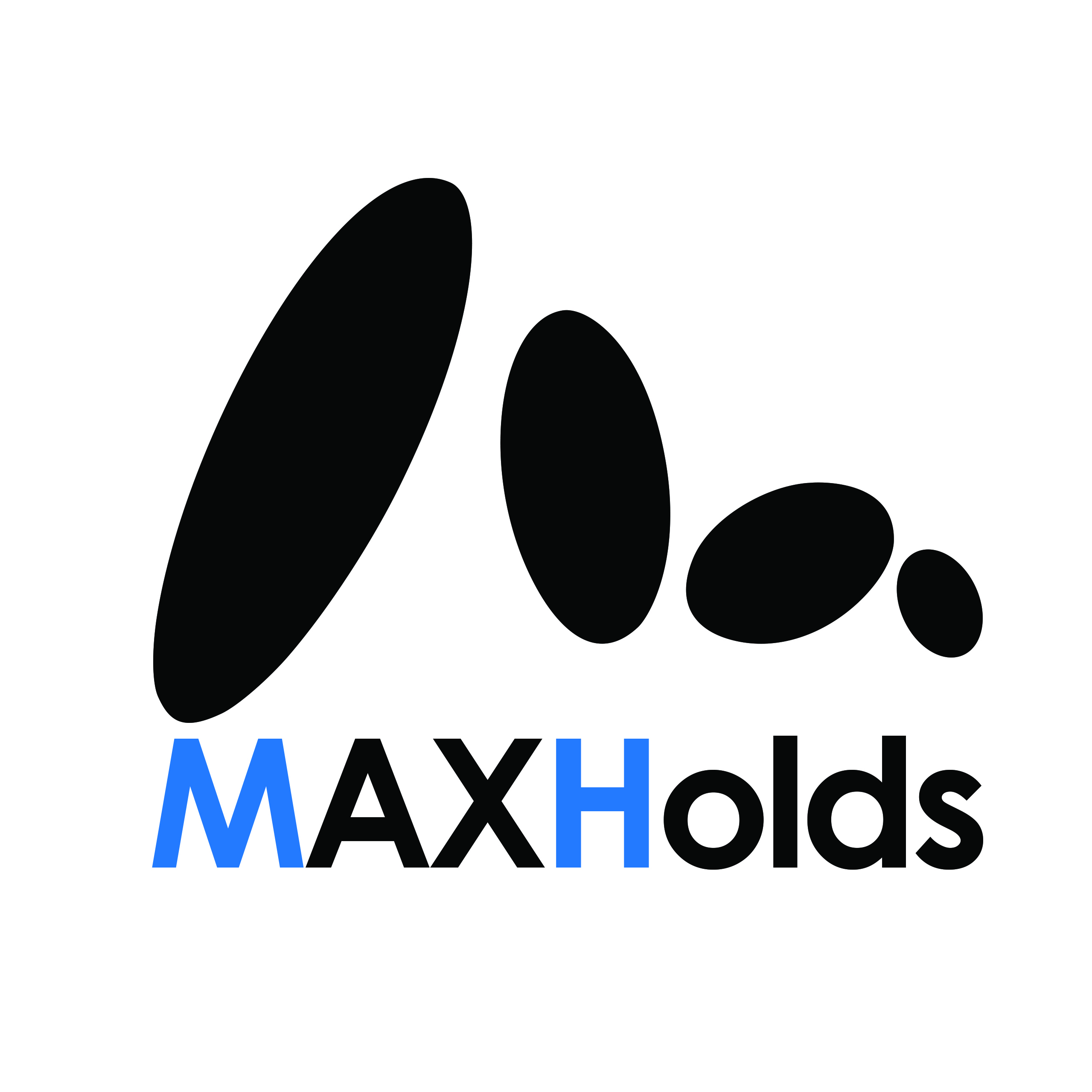 MAX HOLDS