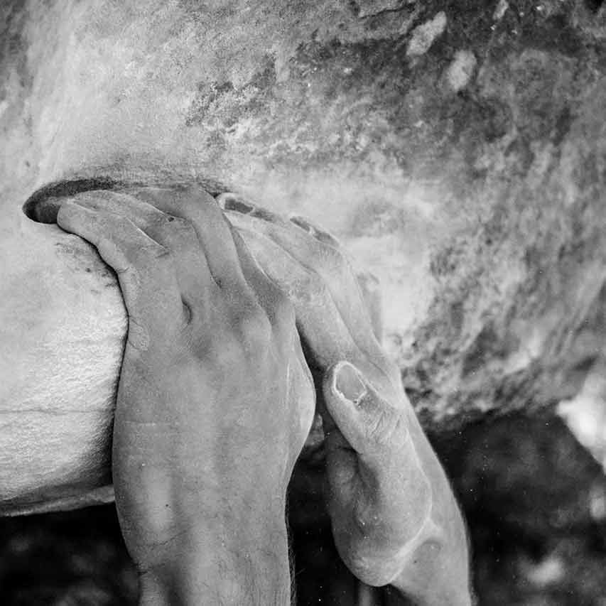 Des mains de grimpeurs vue de prés à Bleau durant un séance de bloc d'escalade